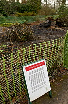Sign warning of Sudden oak death pathogen {Phytophthora ramorum} in botanic garden. UK