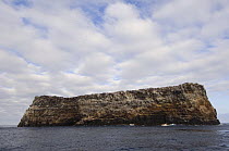 Roca Redonda, the top of an eroded shield volcano in mid ocean north of Isabela Island, Galapagos Islands, Ecuador, South America, 2008