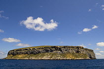 Darwin / Culpepper Island, Galapagos Islands, Ecuador, South America