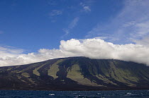 Lava Flows on Wolf Volcano, Isabela Island, Galapagos Islands, Ecuador, South America, 2008