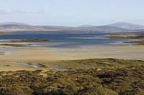 Pebble Island, Off north coast of West Falkland, Falkland Islands