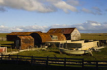 Settlement, part of a working farm on Pebble Island, Off north coast of West Falkland, Falkland Islands