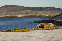 Settlement on Pebble Island. This island is run as a working farm with Sheep, cattle and pigs. There is also a lodge and some privately owned homes. Pebble Island. Off north coast of West Falkland. F...