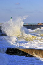 Wave crashing into jetty during storm at Saint-Valéry-en-Caux, Normandy, France, December 2008