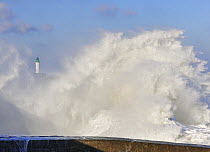 Wave crashing into jetty during storm at Saint-Valéry-en-Caux, Normandy, France, December 2008