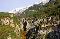 Escuain gorge, Aragon, Spanish Pyrenees with autumn colour and snow. 2008
