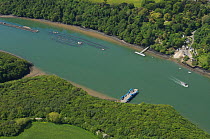 New Harry ferry near Falmouth on the River Fal, Cornwall. May 2009.