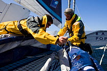 Aboard Maxi yacht "Banque Populaire V", skippered by Pascal Bidegorry, practicing off Cadiz, Spain. March 2009.