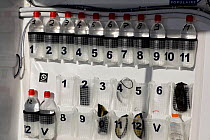 Numbered water bottles, sunglasses and suntan lotion in a pocket tidy aboard Maxi yacht "Banque Populaire V", skippered by Pascal Bidegorry, practicing off Cadiz, Spain. March 2009.