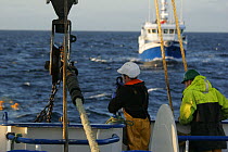 Crewmen shakle trawl warp to the net, with partner vessel coming alongside in the background, for pair trawling. North Sea, September 2008. Model released.
