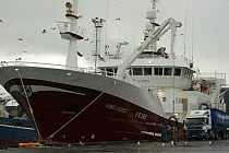 Fraserburgh registered pelagic trawler "Kings Cross" discharging Mackerel into a tanker lorry on Peterhead quayside, 2008.
