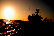 Fishing trawler at sunset on the North Sea, 2008.  Property released.