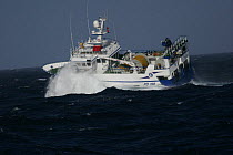 Fishing vessel "Ocean Harvest" rolling in heavy seas, North Sea, October 2008.  Property Released.