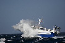 Fishing vessel "Ocean Harvest" in heavy seas, North Sea, October 2008.  Property Released.