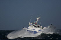 Fishing vessel "Ocean Harvest" in heavy seas, North Sea, October 2008.  Property Released.