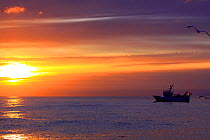 MFV at sunrise. North Sea, 2009. Property released.