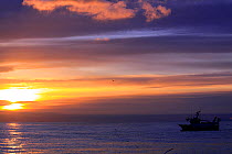 MFV at sunrise. North Sea, 2009. Property released.