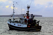 Wick registered fishing vessel "Opportune" using the seine net method of fishing for haddock and flatfish. St. Magnus Bay, Shetland, March 2009.