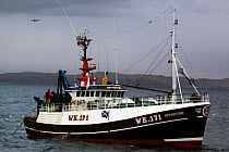 Wick registered fishing vessel "Opportune" using the seine net method of fishing for haddock and flatfish. St. Magnus Bay, Shetland, March 2009.