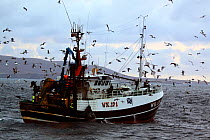 Wick registered fishing vessel ^Opportune^ using the seine net method of fishing for haddock and flatfish. St. Magnus Bay, Shetland, March 2009.
