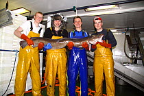 Crewmen on a North Sea trawler holding a 25kg ling (Molva molva). 2009