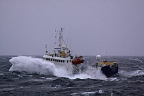 Norwegian guard vessel "Stril Tender" in heavy weather. North Sea, April 2009.