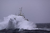 Norwegian guard vessel "Stril Tender" in heavy weather. North Sea, April 2009.