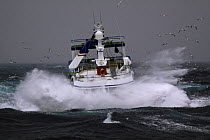 Fishing vessel in heavy seas, North Sea, April 2009.  Property released.