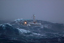 Fishing vessel in heavy seas, North Sea, April 2009.  Property released.