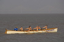 "Young Bristol" crew in the Bristol Gig Club "Bristol Challenge" race with New Severn Crossing in background. March 21st 2009.