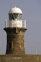 Lighthouse and bell tower at the entrance to the river Avon at Portbury, March 2009.