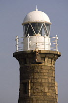 Lighthouse and bell tower at the entrance to the river Avon at Portbury. March 2009.