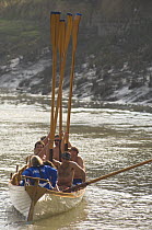 "Young Bristol" crew raising their oars, celebrating winning the "Bristol Challenge" race along the Avon Gorge, March 21st 2009.