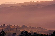 Cloud forest and the landscape surrounding Bonga town at dawn, Kaffa Zone, Southern Ethiopia, East Africa December 2008