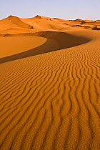Dunes in the Sahara desert, Merzouga, Erg Chebbi, Southern Morocco, NW Africa