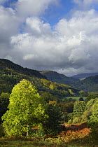 The Conway Valley, Snowdonia, Conwy, North Wales, UK, October 2008