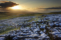 Frost on a limestone pavement above Malham Cove at Ing Scar, Yorkshire Dales National Park, England, UK, October 2008