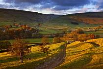 First light on the autumn colours at Arncliffe in Littondale, Yorkshire Dales National Park, England, UK, October 2008