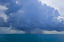 Rain falling from cumulonimbus clouds over the sea, Bahamas, Caribbean
