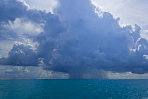 Rain falling from cumulonimbus clouds over the sea, Bahamas, Caribbean