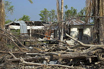 House at Kotka Forest Station destroyed by cyclone Sidr on November 15 2007, Coastal area of Sundarban East Wildlife Sanctuary, Sundarbans Mangrove forest, Bangladesh