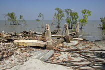 Totally damaged Forest Station destroyed by cyclone Sidr on November 15 2007, on the coast of Mandabaria island, Sundarban West Wildlife Sanctuary, Sundarbans Mangrove forest, Bangladesh