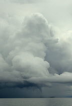 Waterspout and towering cumulus cloud over Lake Malawi, February 2008 Malawi.