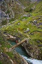 Hiker crossing a mountain stream on the Ruta del Cares path, Pico de Europa NP, Leon, Northern Spain   October 2006