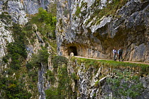 Hikers on the Ruta del Cares path where it is cut into the mountainside, Pico de Europa NP, Leon, Northern Spain  October 2006