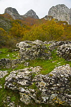 Mountain landscape, Riano, Picos de Europa NP, Leon, Northern Spain  October 2006