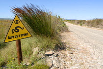 Snake crossing warning sign "Give us a brake" next to road, DeHoop, Western Cape, South Africa