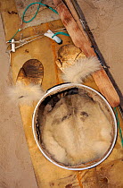 Traditional inuit kayak with polar bearskin mittens and seat cover, Qaanaaq, NW Greenland, 1996.
