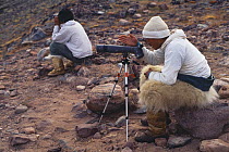 Inuit Narwhal hunter wearing polar bearskin trousers, Storm Uudaq, searching for Narwhal using telescope, Qaanaaq, NW Greenland, 1996.