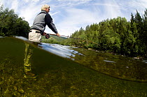 Fly-fishing in the Orkla River, Norway, September 2008 (Model released)